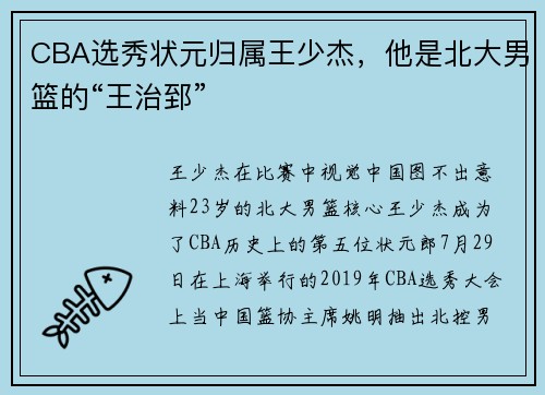 CBA选秀状元归属王少杰，他是北大男篮的“王治郅”